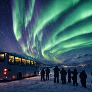 northern light tour